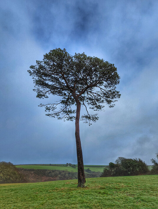 Path from Scott's Quay