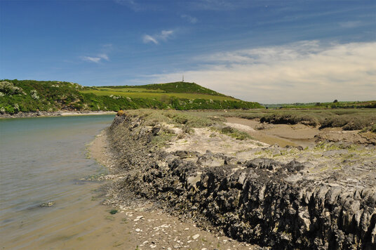 Tidal enclosure at Sea Mills