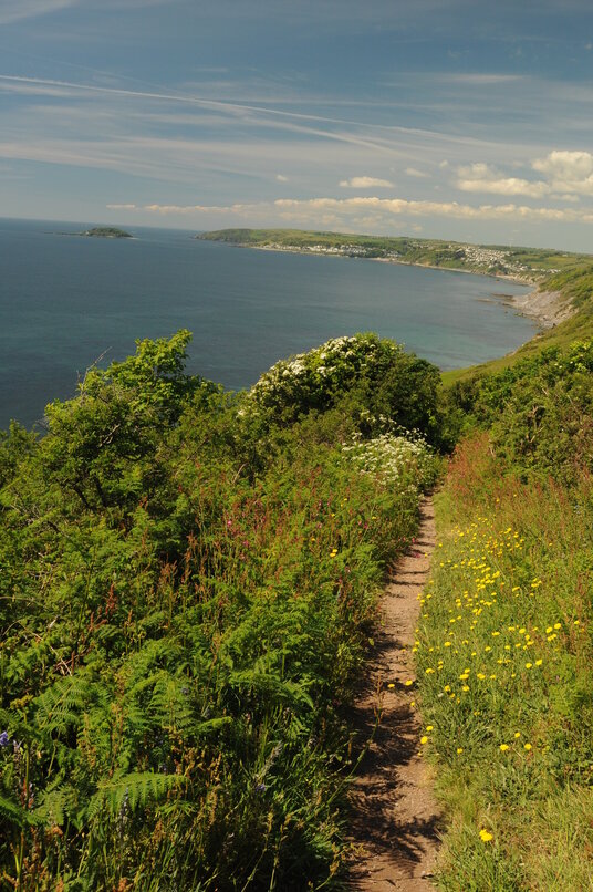 Coast path from Seaton