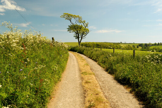 Lane near Seaton
