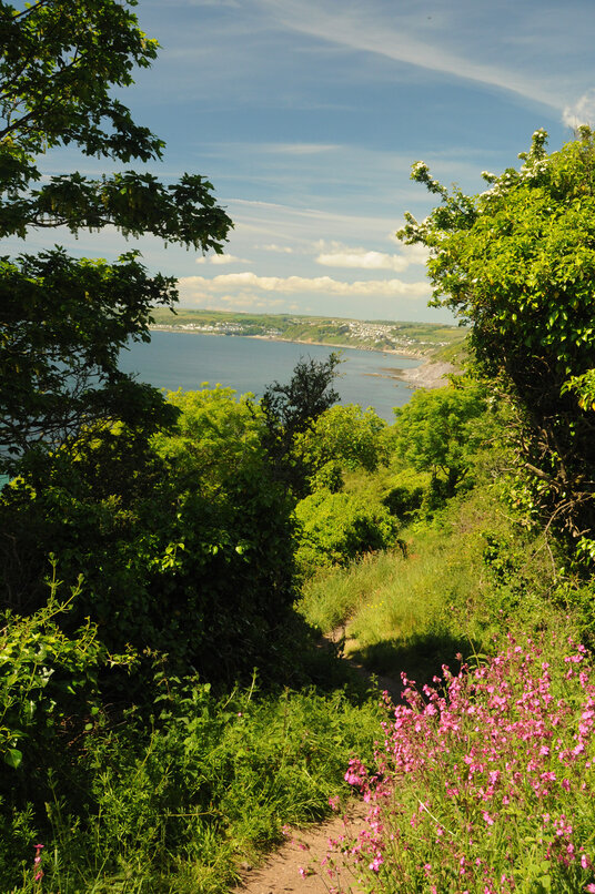 Path from Seaton