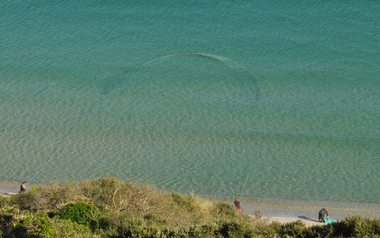 Seining on Sennen Beach