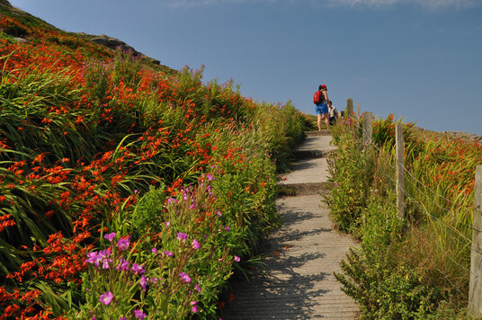 Coast path from Sennen