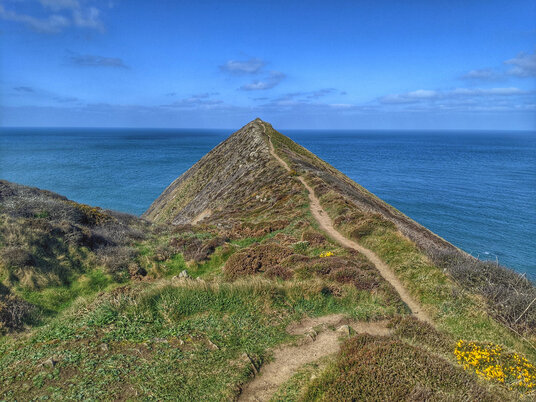 Higher Sharpnose Point