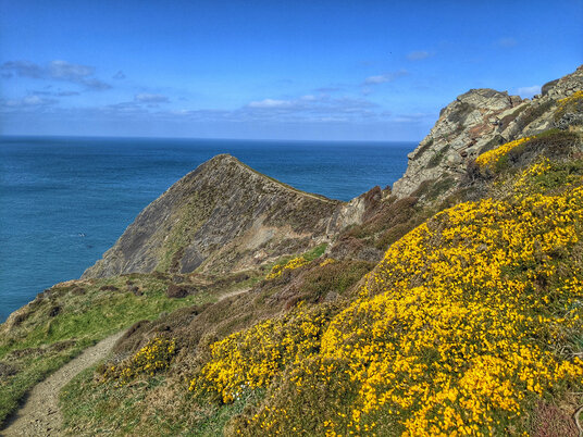 Higher Sharpnose Point