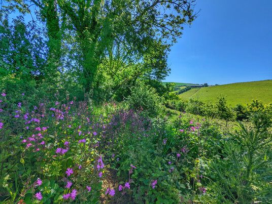 Footpath to Trewrickle
