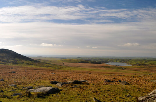 View from Showery Tor