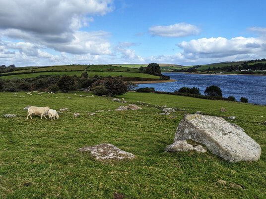 View over Siblyback Lake
