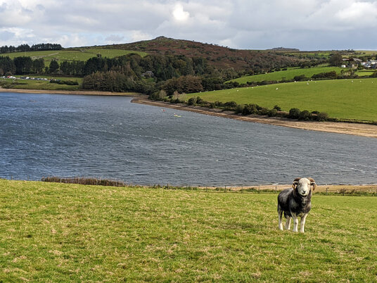 View over Siblyback Lake