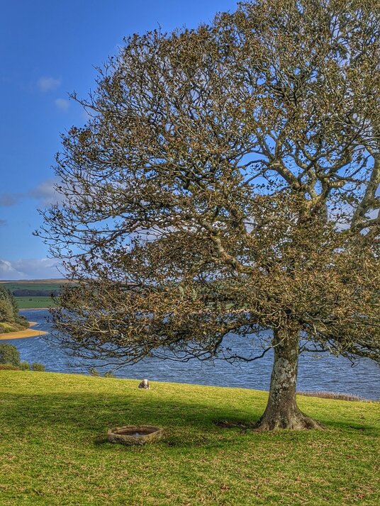 Siblyback Lake