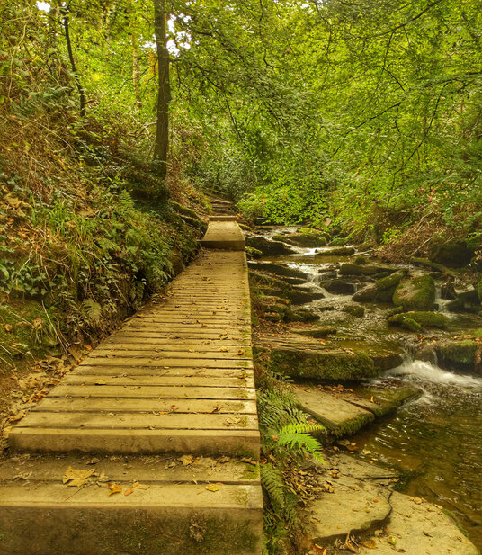Walkway along the Trevillett River at St Nectans Glen