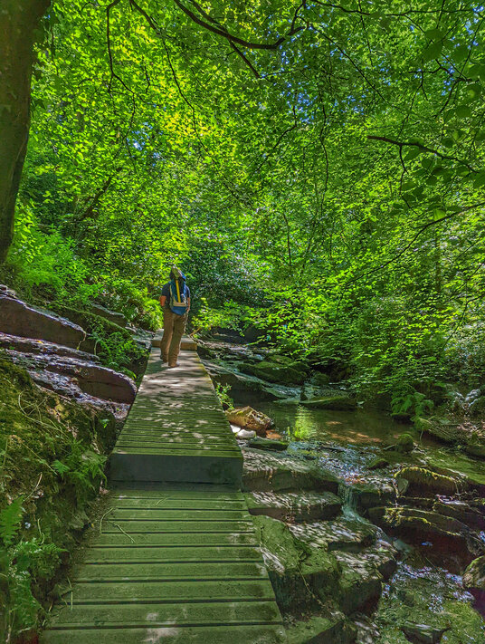 Walkway in St Nectan's Glen