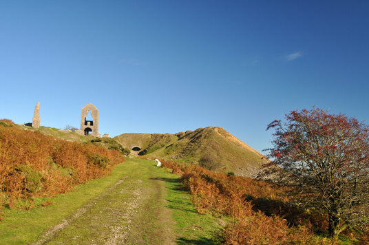 South Caradon Mine
