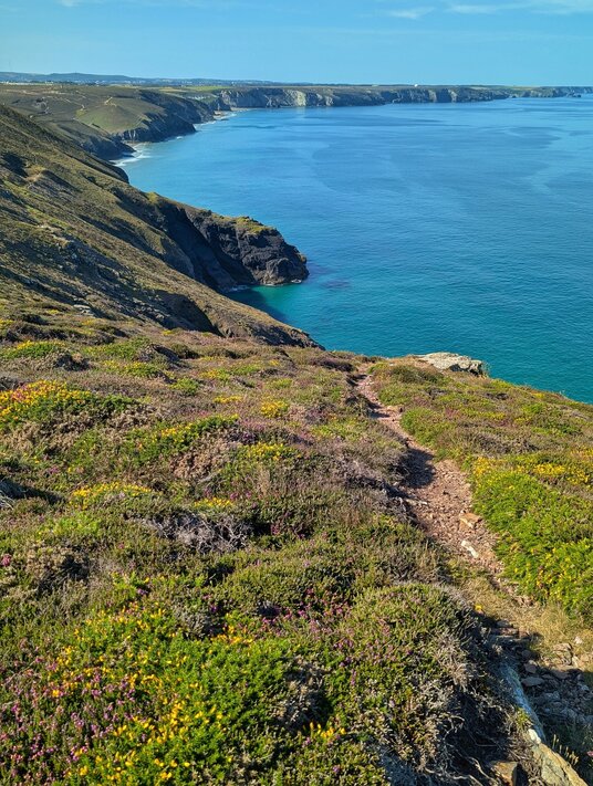 St Agnes coastline