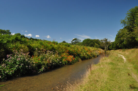 Path along the river