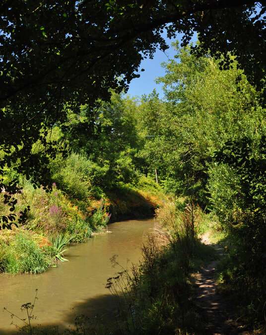 Path along the river