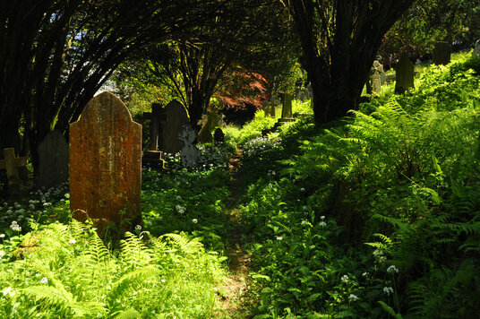 Churchyard behind the church