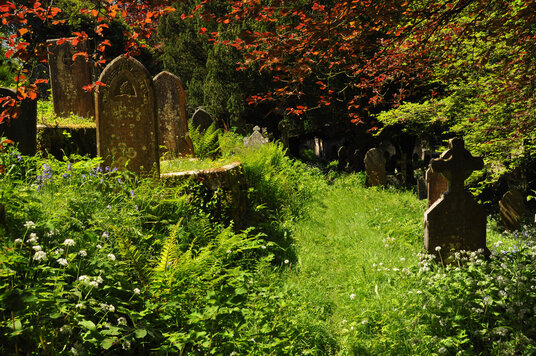 View back the the church