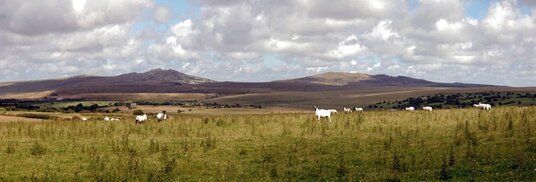 View from St Breward