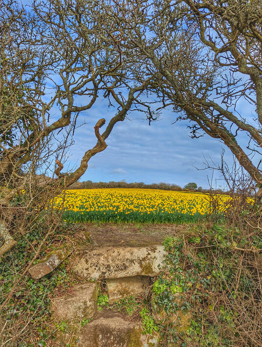 Footpath to St Buryan
