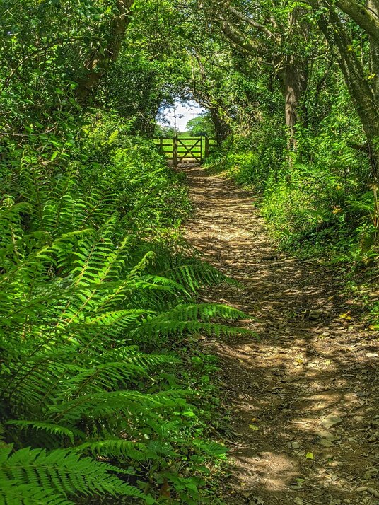 Footpath to St Clement