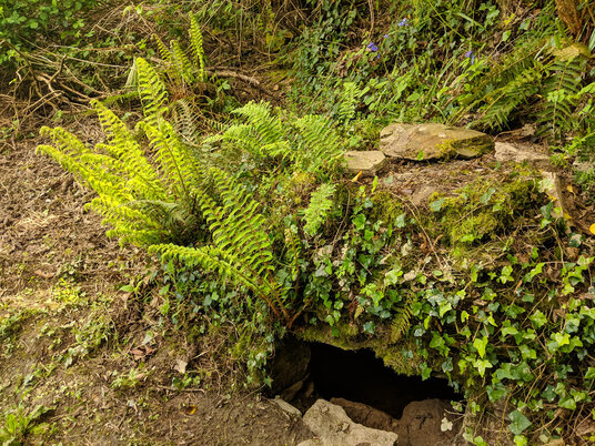 St Clement Holy Well