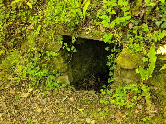 St Clement Holy Well