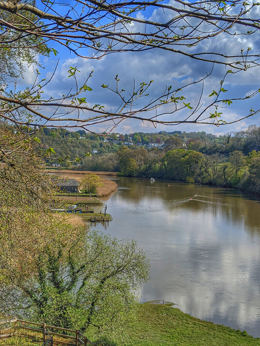 View from Botherick Wood