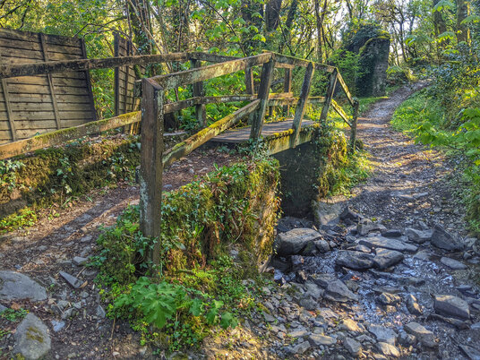 Bridge in the woods near St Dominic
