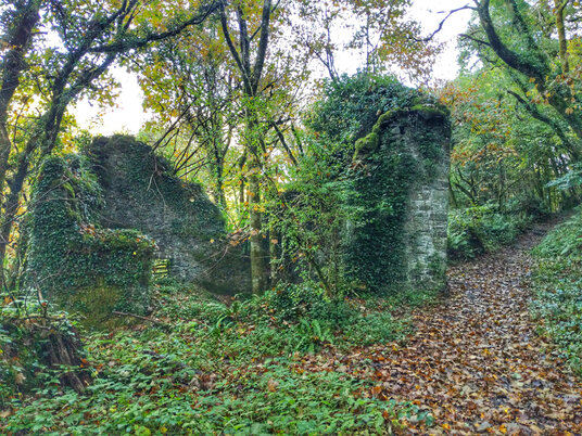 Old ruins in the woods 