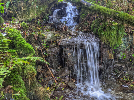 Waterfall in the woods