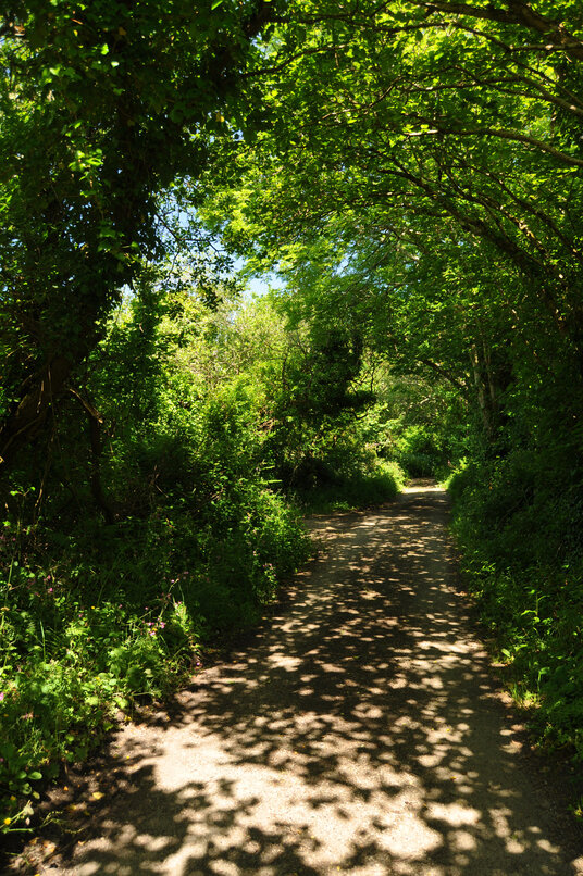 Lane to Porthcollum