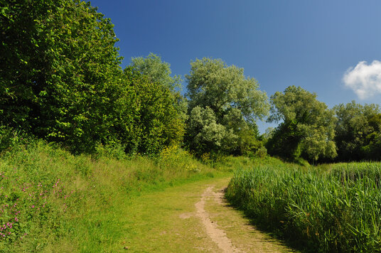 Path along the River