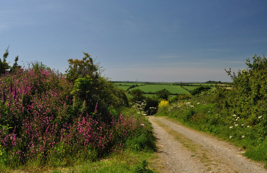 Track from Porthcollum