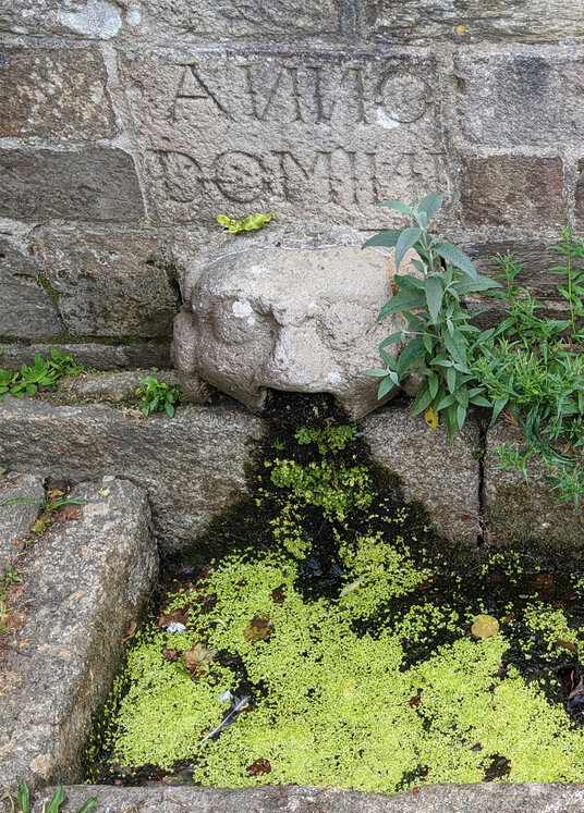 St Guron's Well