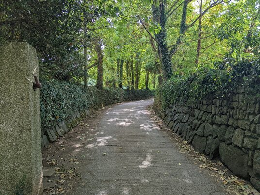 Track from the Vicarage