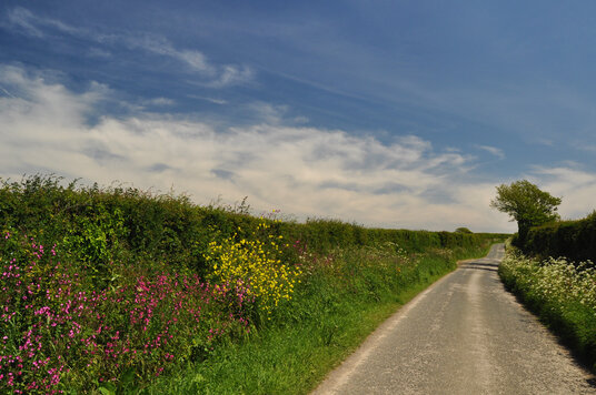 Lane to St Issey