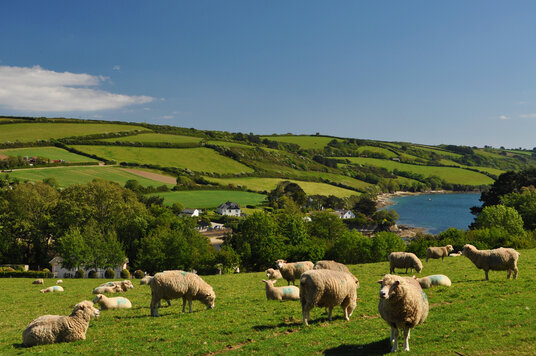 View from Messack Farm track