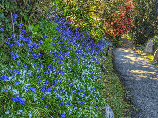Flowers in St Just churchyard