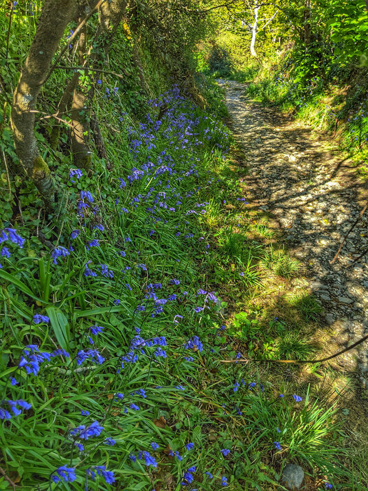 Path to St Just Churchtown