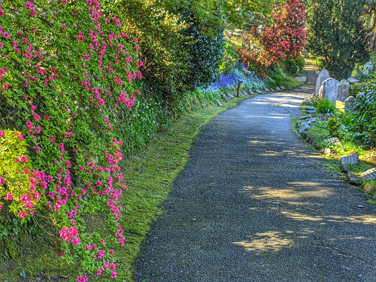 Flowers in St Just churchyard