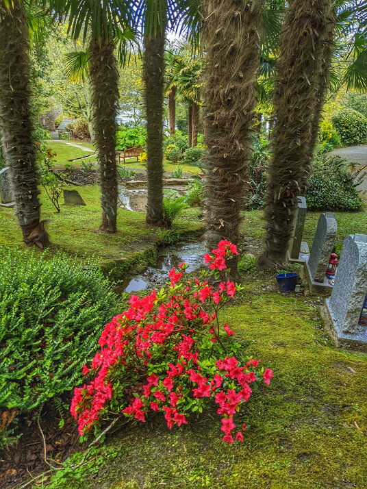 St Just-in-Roseland churchyard