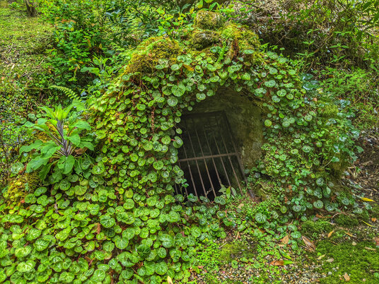Well in St-Just-in-Roseland churchyard