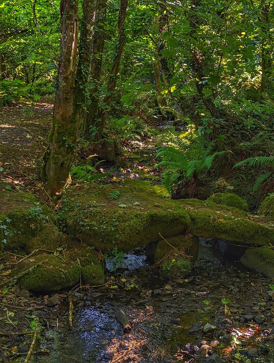 Clapper bridge at St Keverne