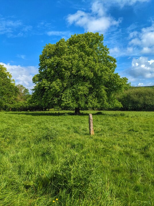 Field near St Kew