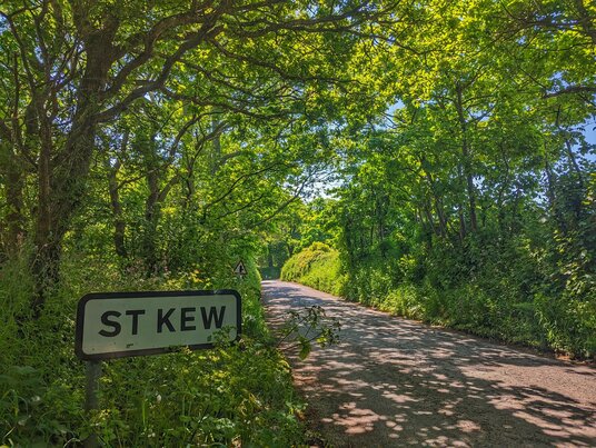 Lane to St Kew