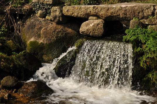 Footbridge at St Loy's Cove