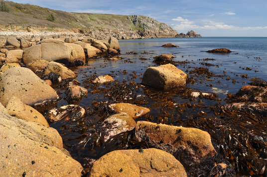 St Loy's Cove at low tide