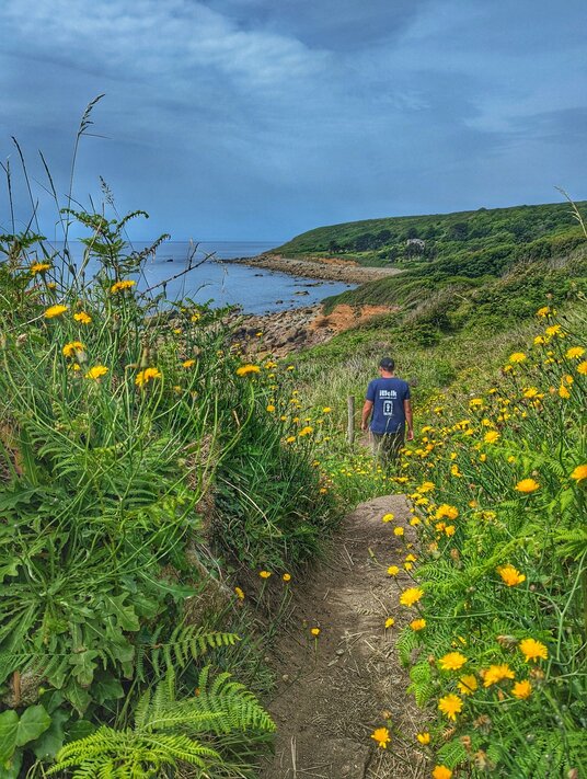 Coast path to St Loy's Cove