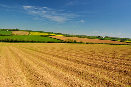 Fields near Trescowe